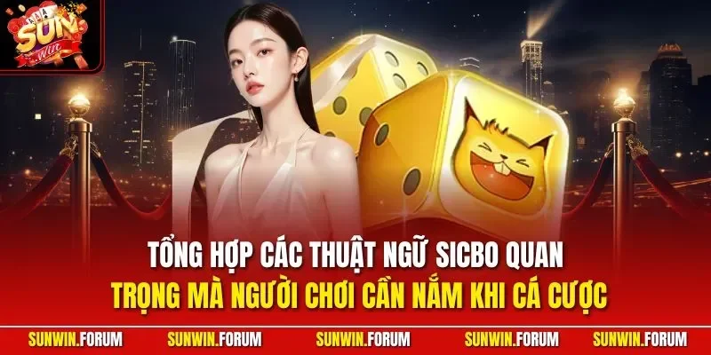 Tổng hợp các thuật ngữ Sicbo quan trọng mà người chơi cần nắm khi cá cược